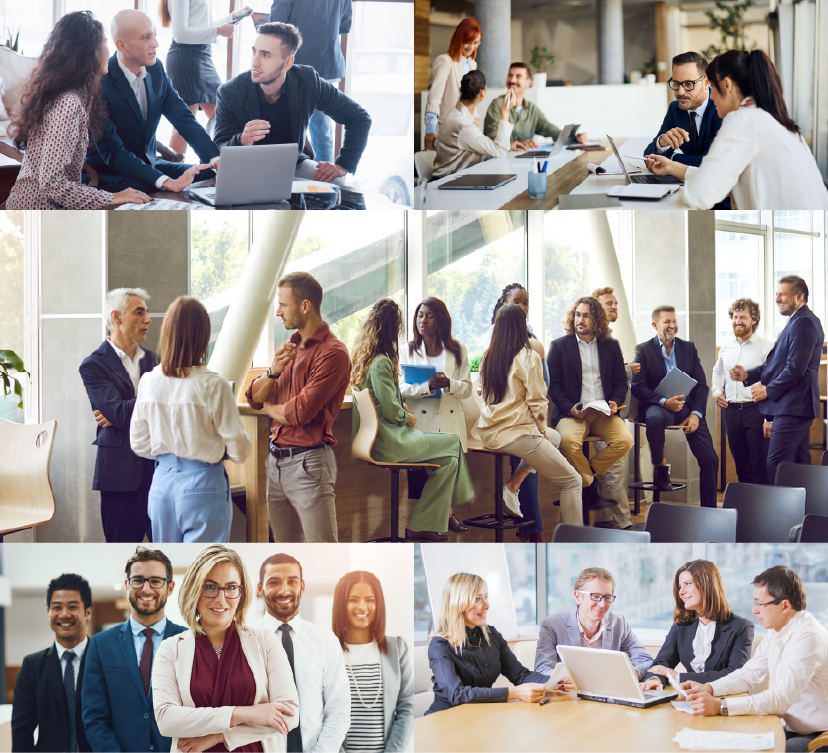 Hands holding fresh vegetables